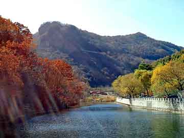 澳门二四六天天彩图库，发现4论坛